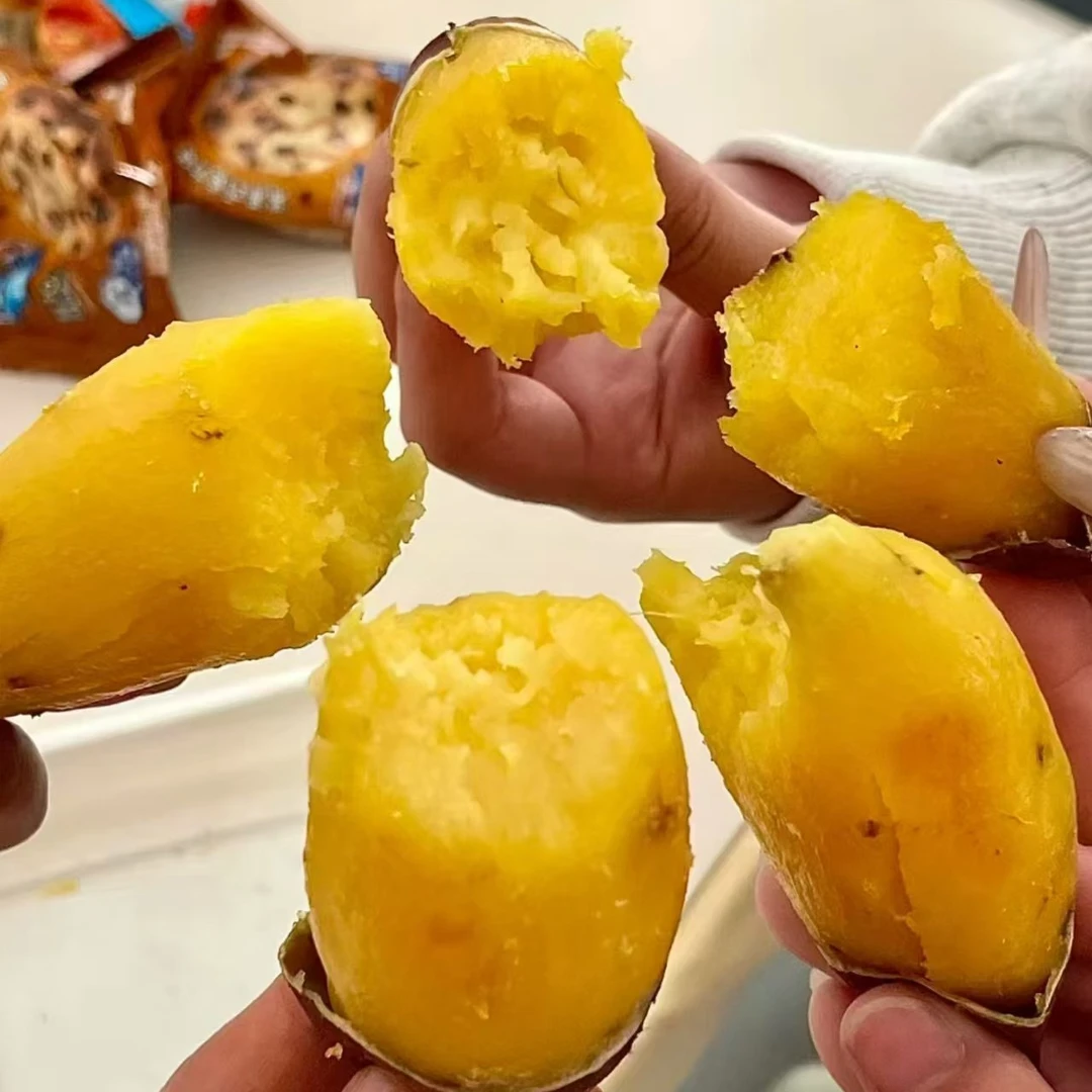 大果，蜜薯鲜红薯三斤装毛重1700g新鲜榴莲蜜薯海南省