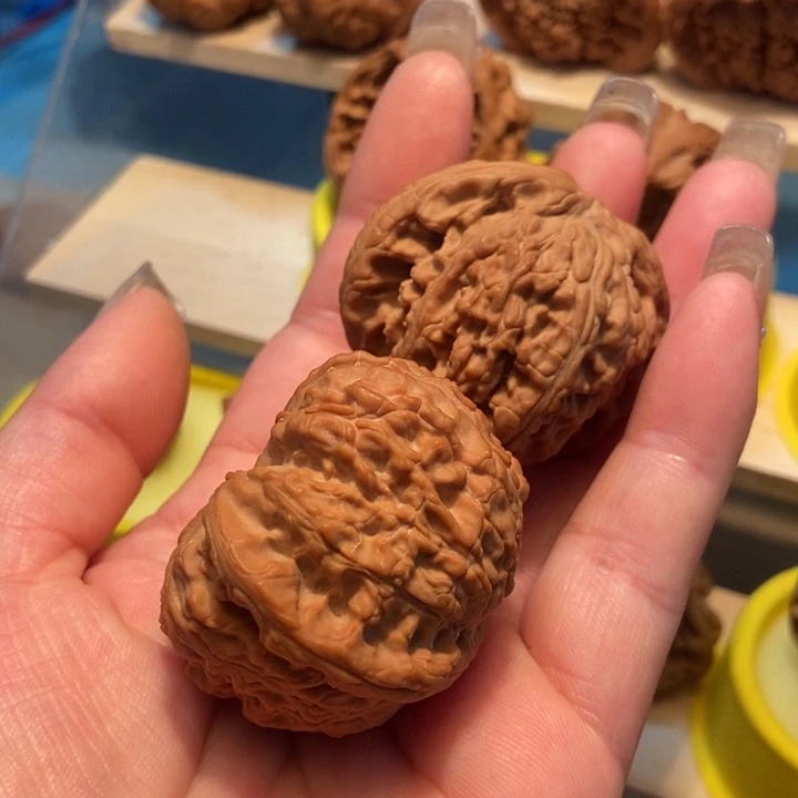 T****…官方网站发布消息白狮子