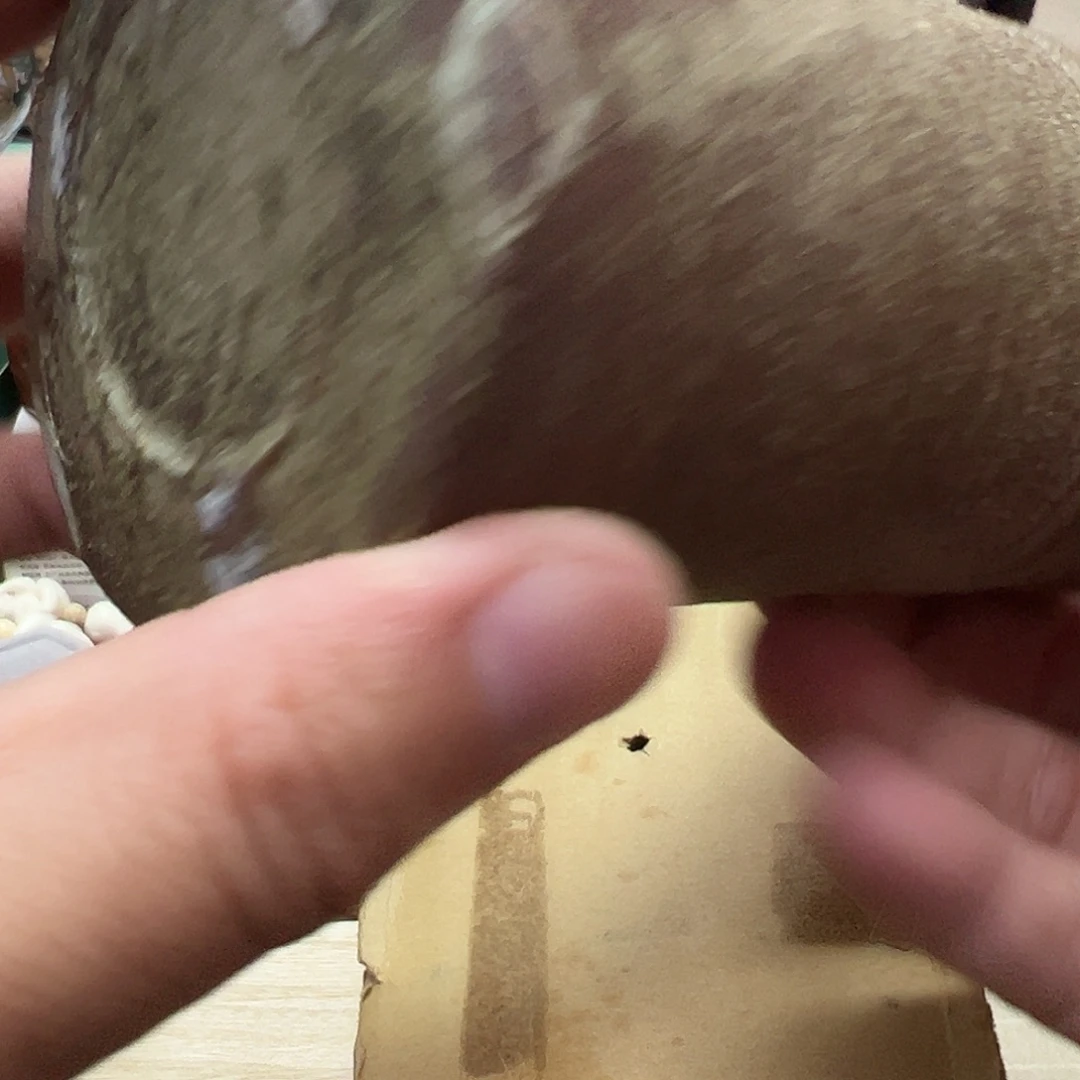 瓷片瓷器瓷器瓷器