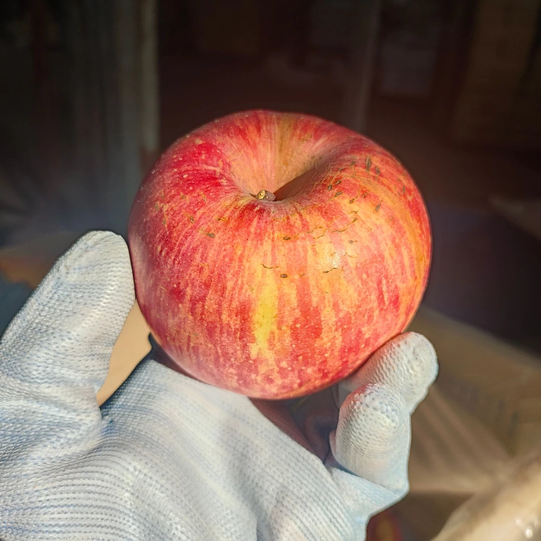 2024正宗栖霞红富士 条纹普通果