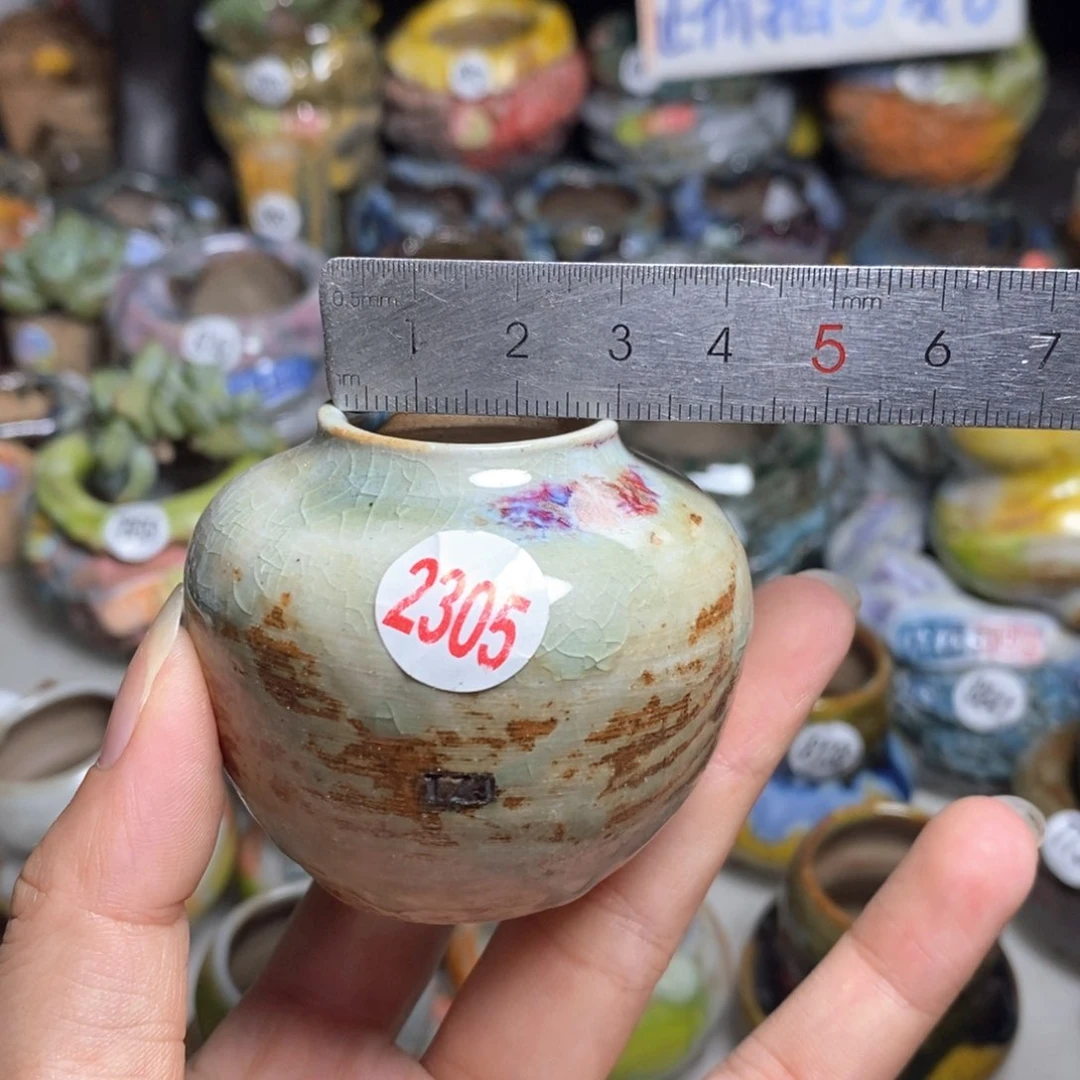 拍5送一个小礼物