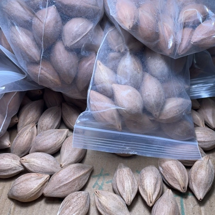 童***喵橄榄核手串/手链不退不换etyuo