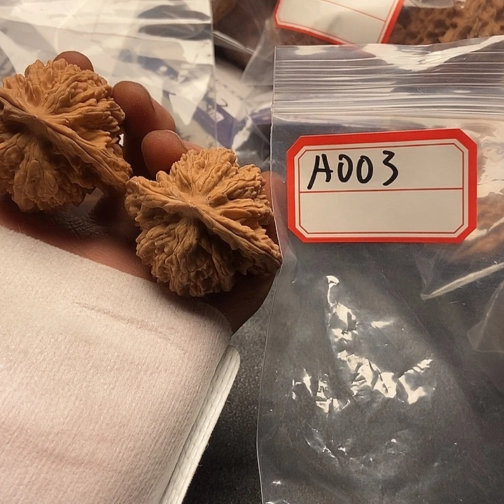 2555555555555555555555