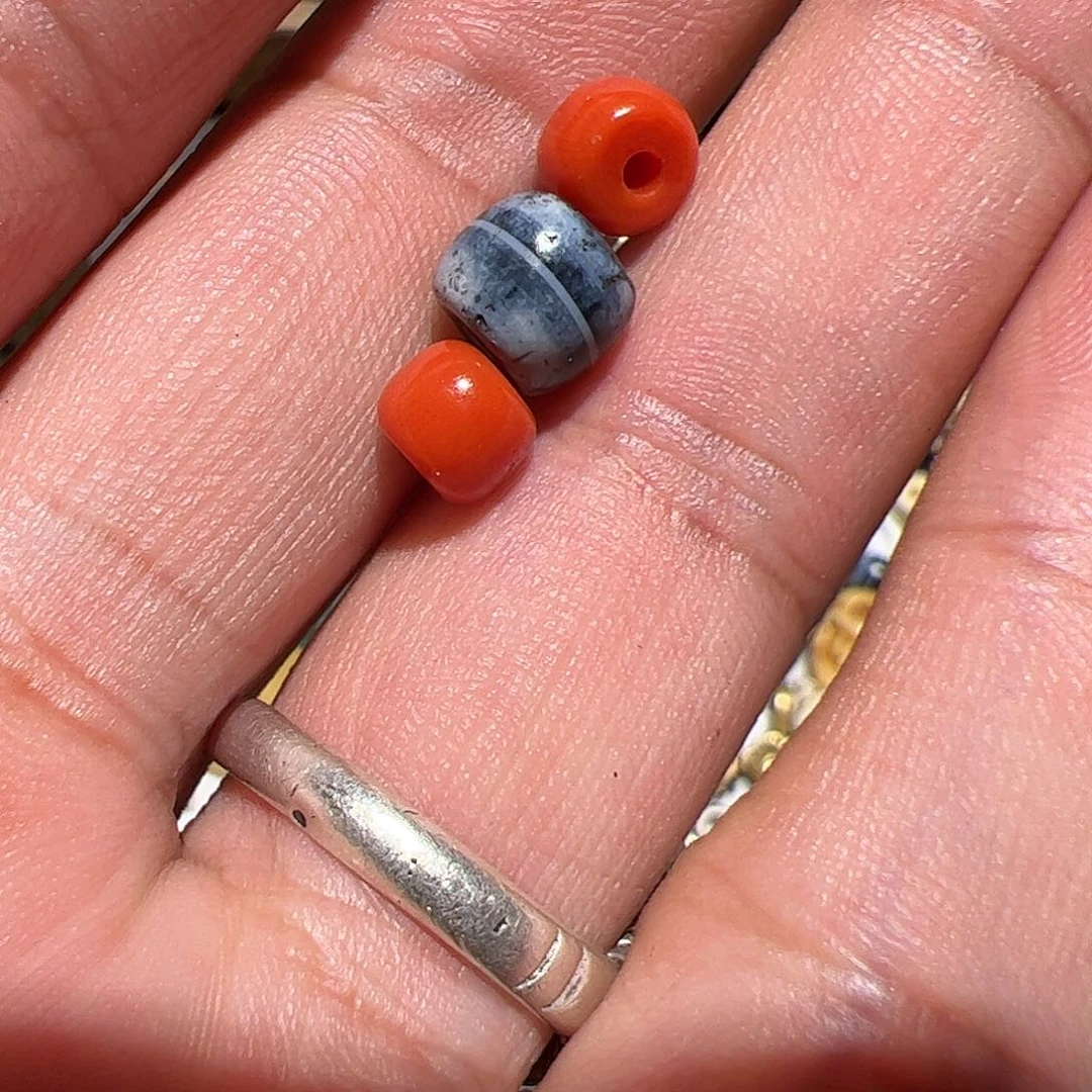 香榧木你是否也是