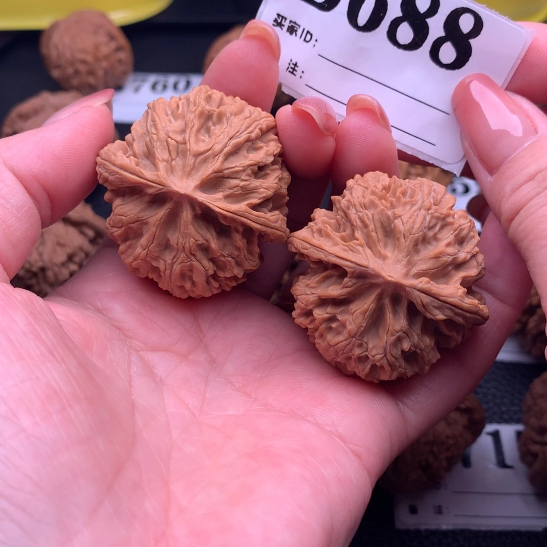 核桃苹果园688链接40尺全