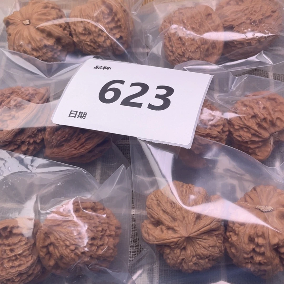 把件文玩核桃623号6对带练手粗筋