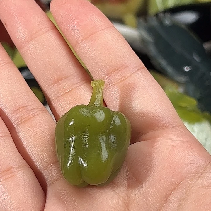 琬***儿蛇纹石玉未镶嵌珠宝奇石