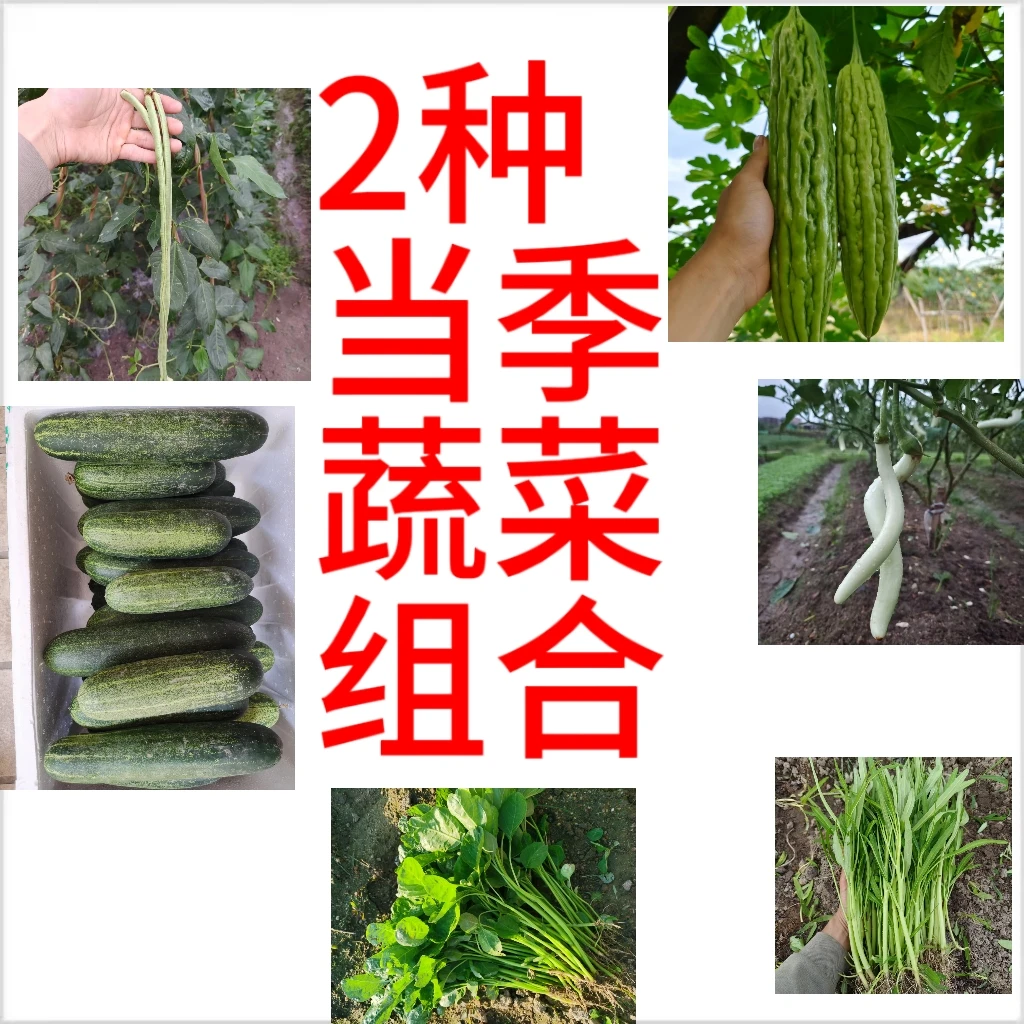 【2种当季蔬菜组合-顺丰包邮】新鲜好吃不贵干水发货家乡的味道