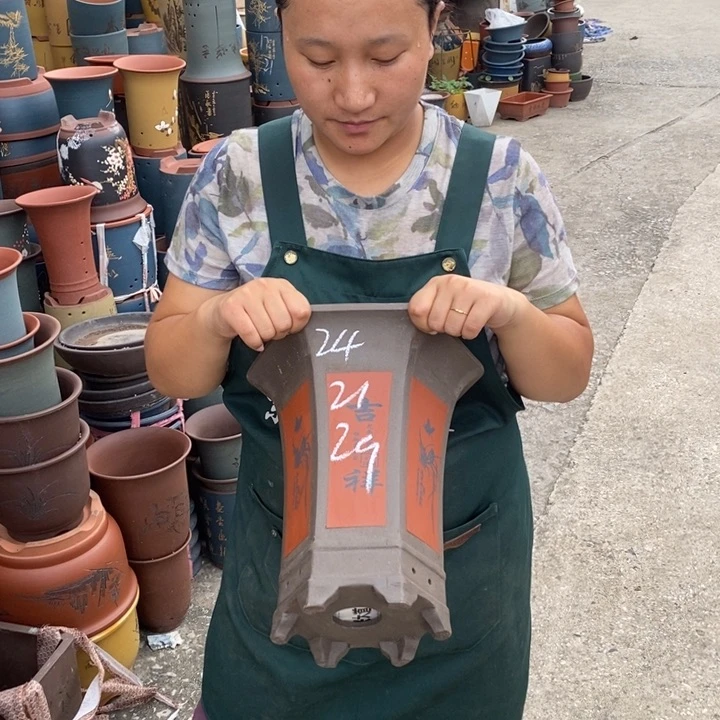 紫砂花盆盆栽花卉苗木种植