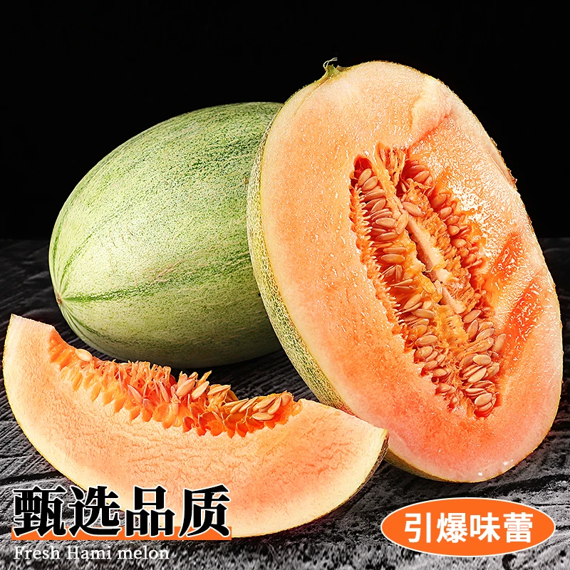 【顺丰包邮】【脆甜多汁】新疆西州蜜哈密瓜带箱 10斤装坏果包赔TG