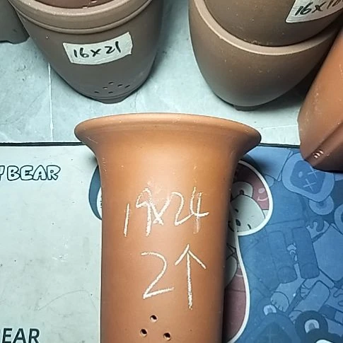 大红兰花两个花盆