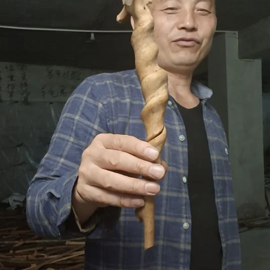 稳定木余*哥高山 檬子木文玩料