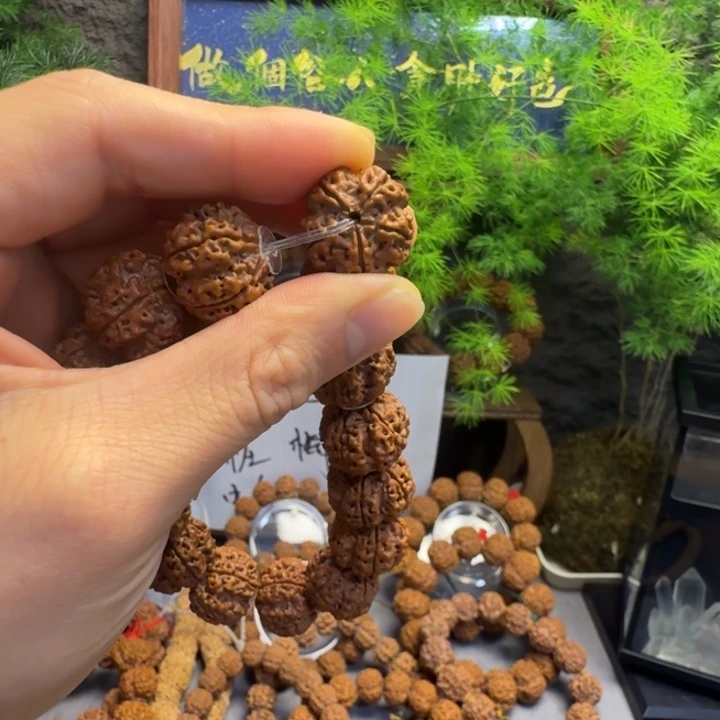 手串金刚菩提烛龙梅桩蜜有裂介意勿拍福利款