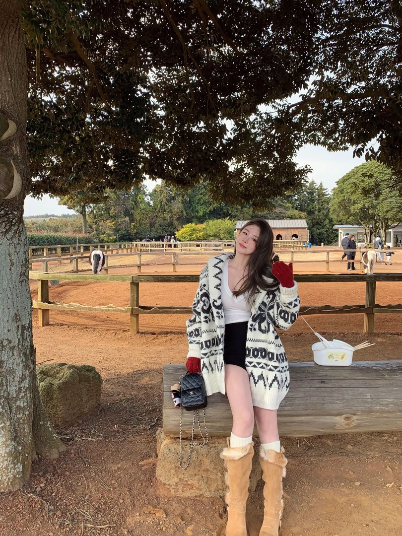 复古气质慵懒风费尔岛提花针织衫女2025新款软糯百搭宽松毛衣开衫