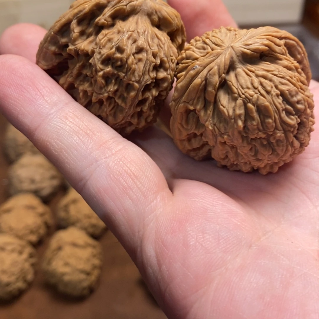 水***孩手串金刚菩提南疆42+