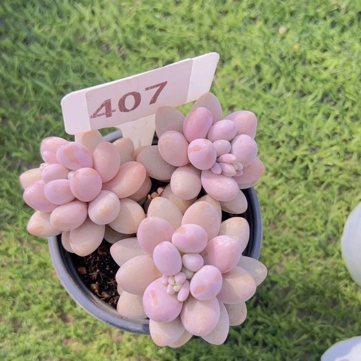 健健康康平平安安