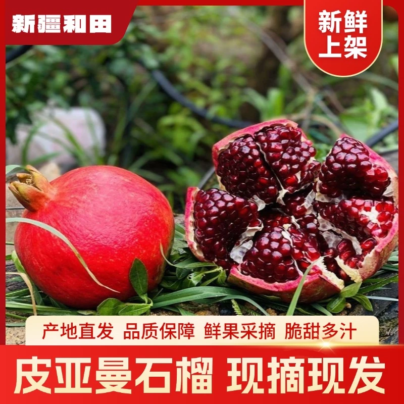 【顺丰空运包邮】新疆和田皮山皮亚曼石榴鲜果采摘果香四溢脆甜多汁