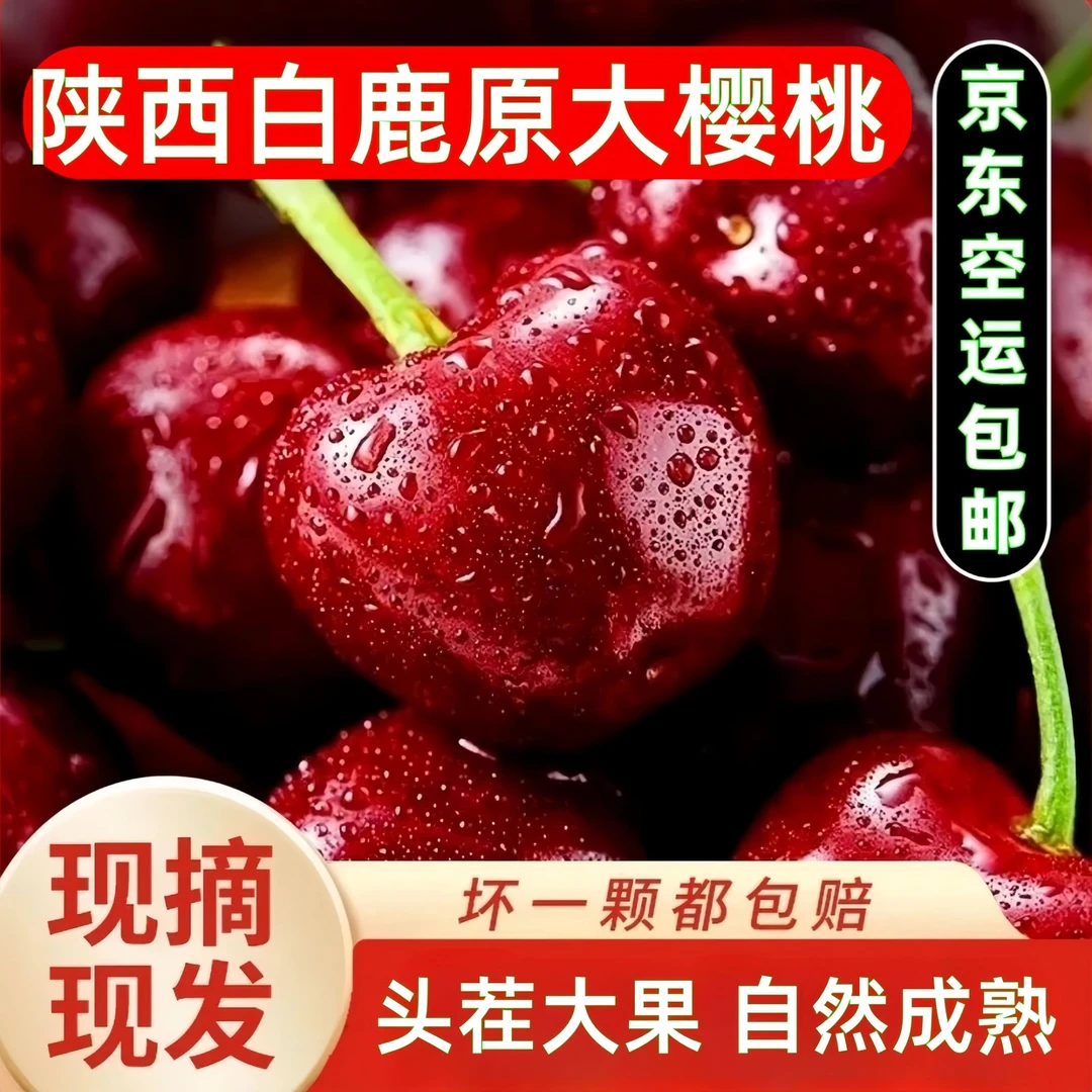 【空运包邮】陕西白鹿原大樱桃现摘现发自然成熟脆甜多汁净重4斤