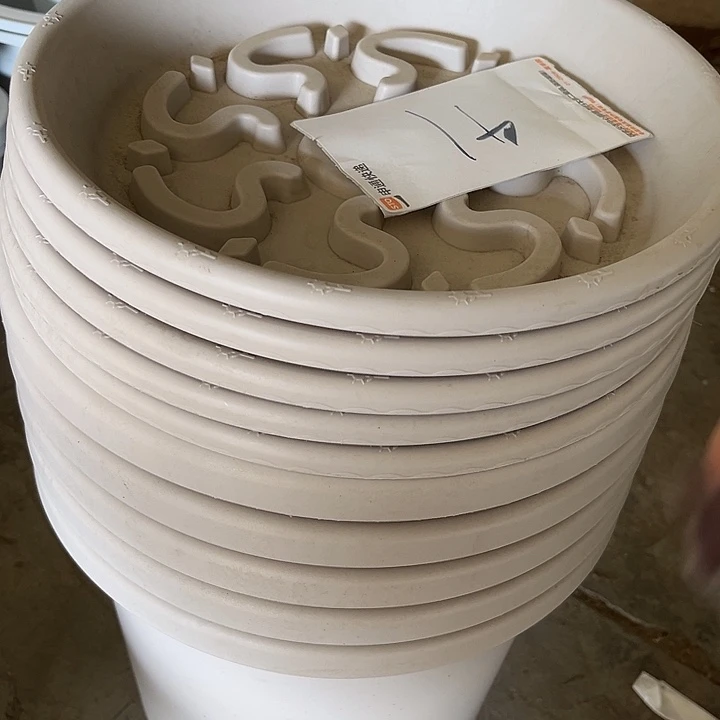 瑕疵四季盆5号 编号41