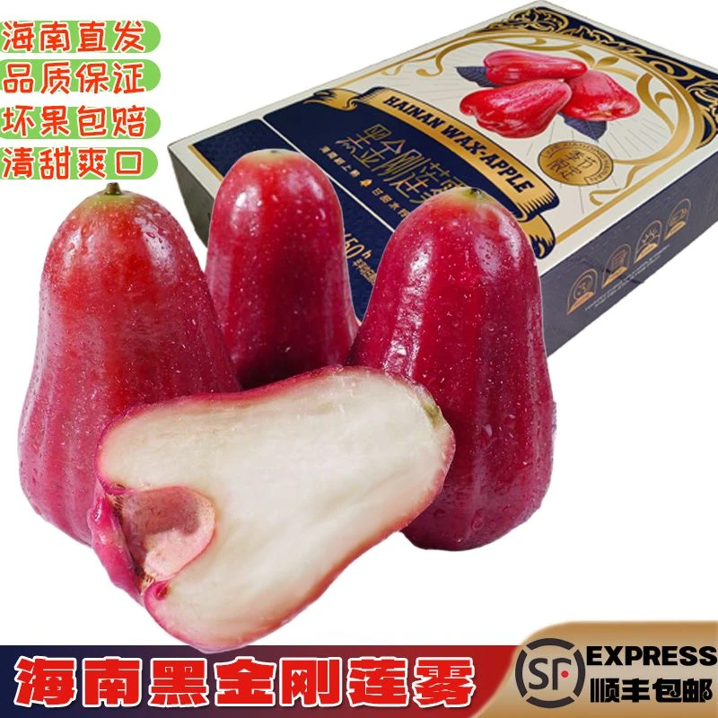海南黑金刚莲雾水果礼盒装当季热带新鲜水果三亚特产雾莲果顺丰