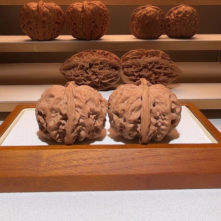 43.5球形大肚苹果，梅枝，纹