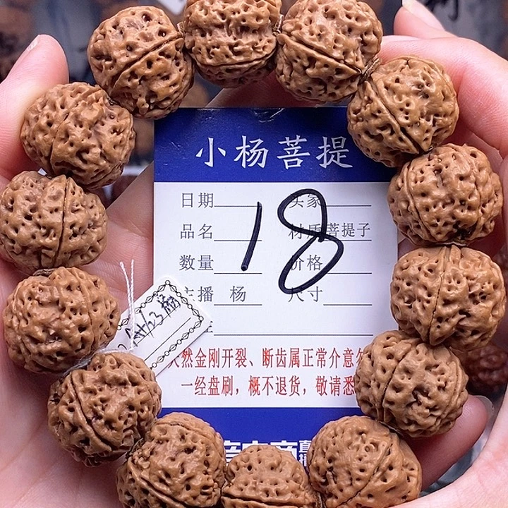 手串金刚菩提23苍龙扇面