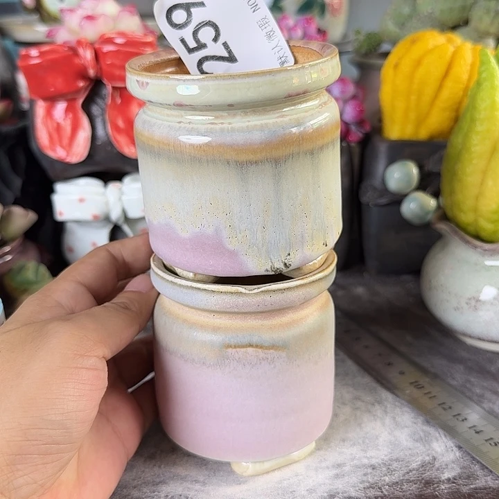 重庆小燕子欢迎大家259