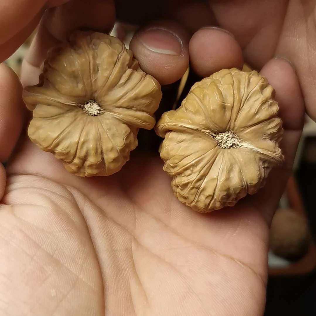 核桃文玩核桃高端小众南瓜墩全品练手对40尺