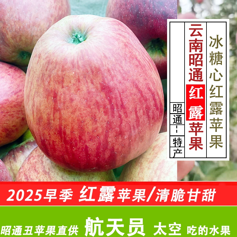 新鲜昭通丑苹果冰糖心特产现摘现发脆甜多汁洒渔镇果农产地直发