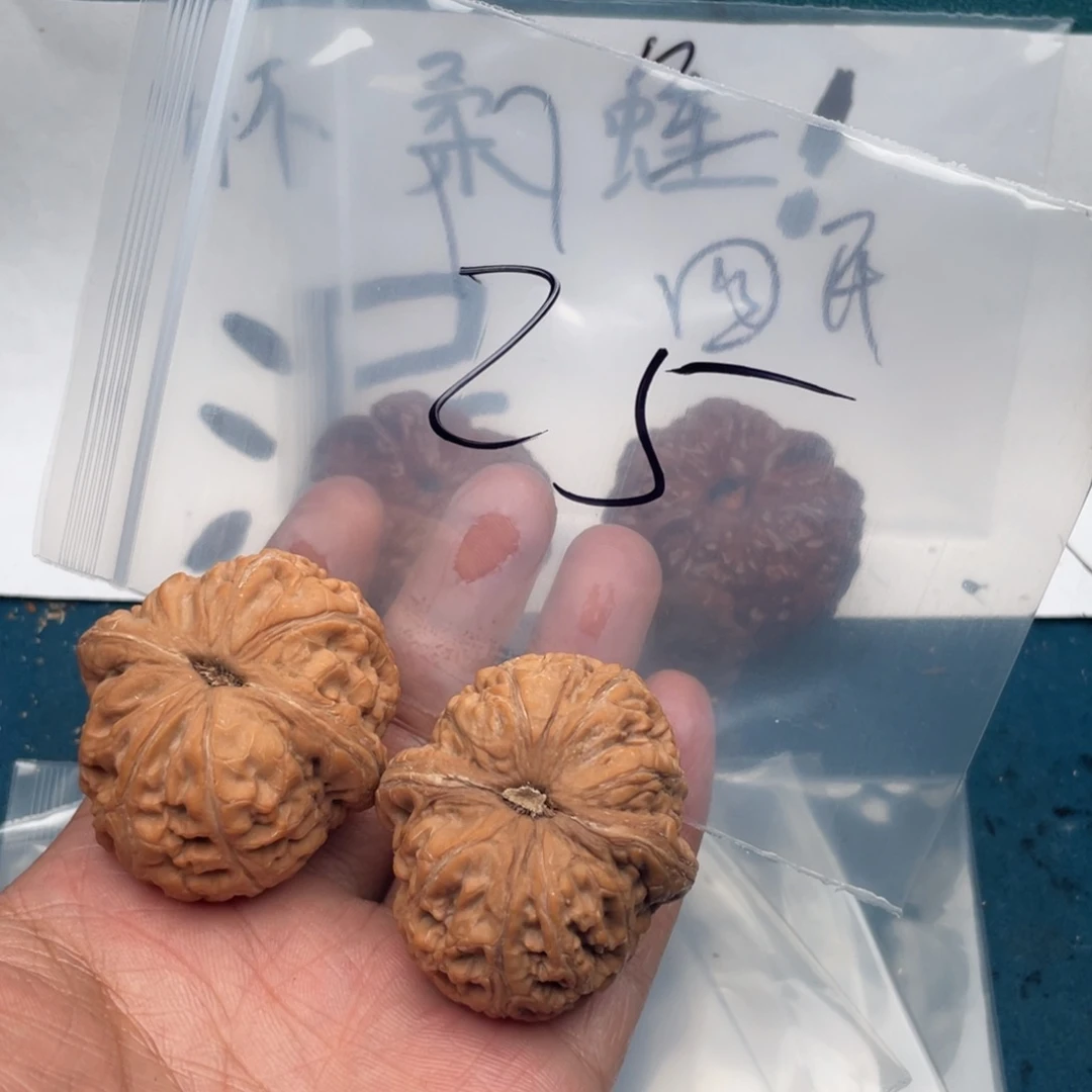 核桃W94774997494779749794