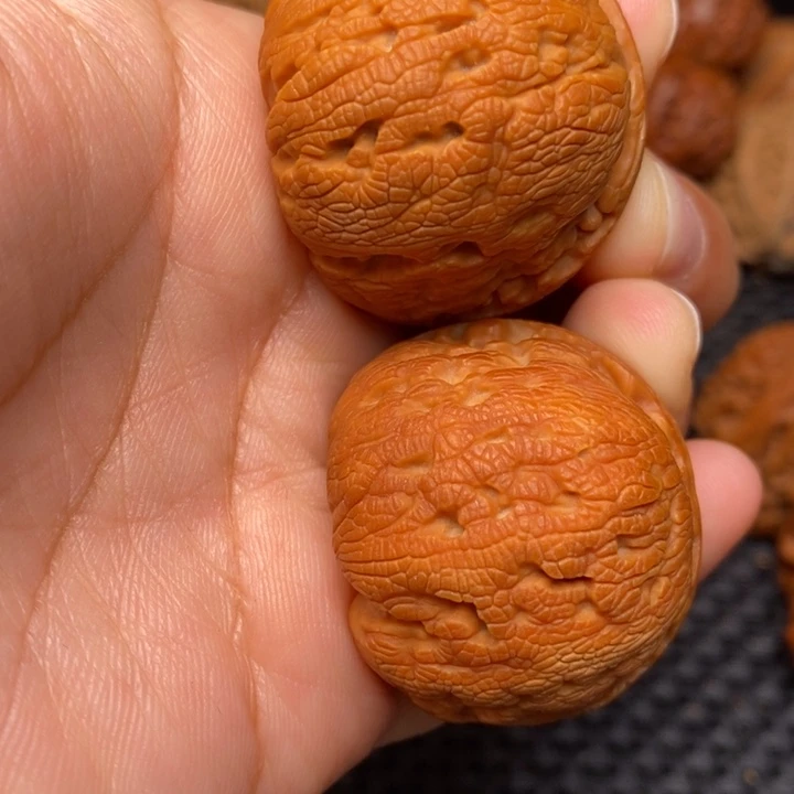 秦岭野生0000000043