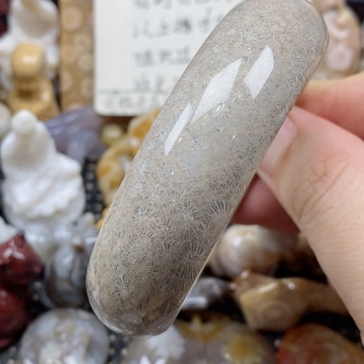 颈饰未镶嵌硅化珊瑚（珊瑚玉）59