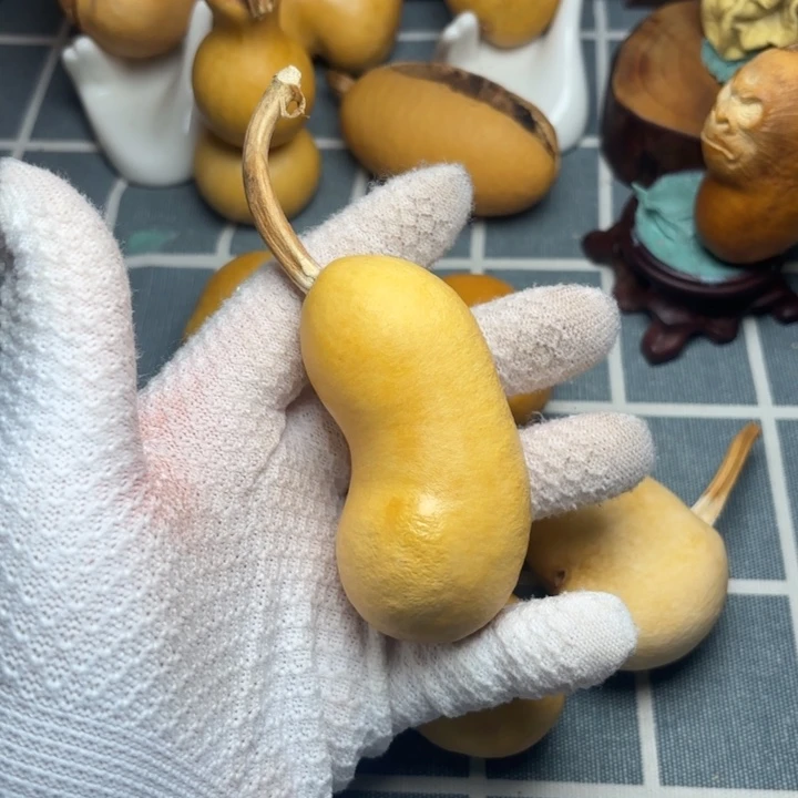 酒***子葫芦666666666666666