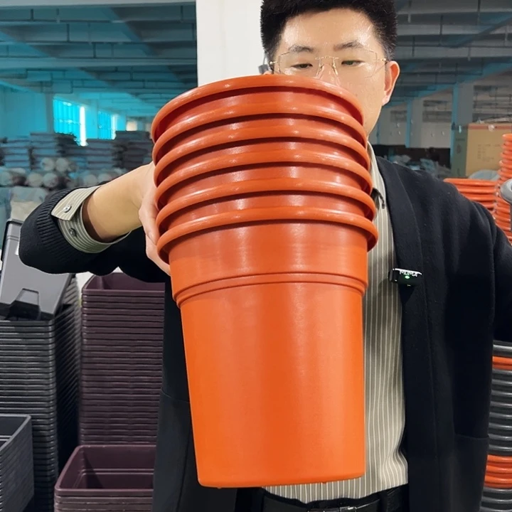 特价翻边口21高22陶红色6只无托