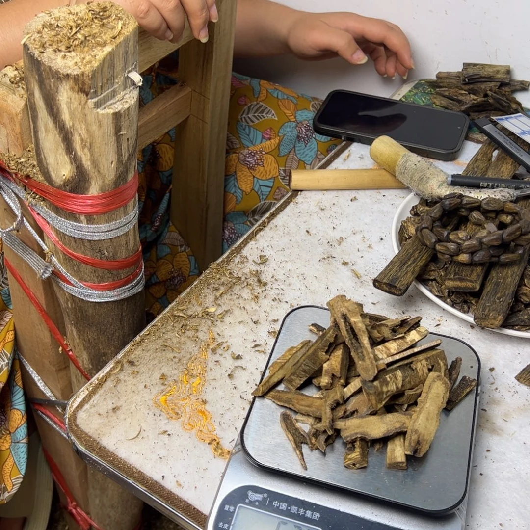 线香奇楠虫漏香50克