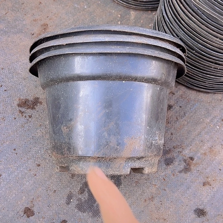 黑桶盆口径21高14发16个