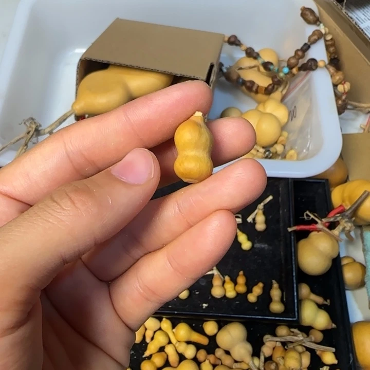 顽***咪葫芦打孔后不退不换！