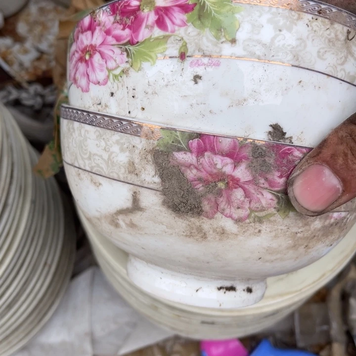 花碗6寸两个颜色花