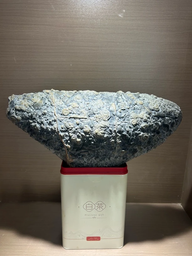 灵璧石大自然鬼斧神工雪里藏金设计精美