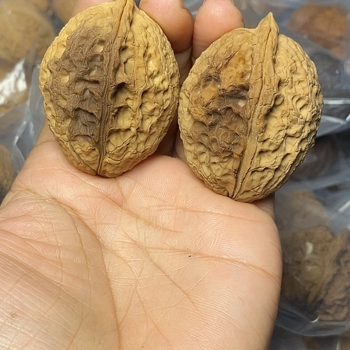 文玩核桃把件云南铁核桃16