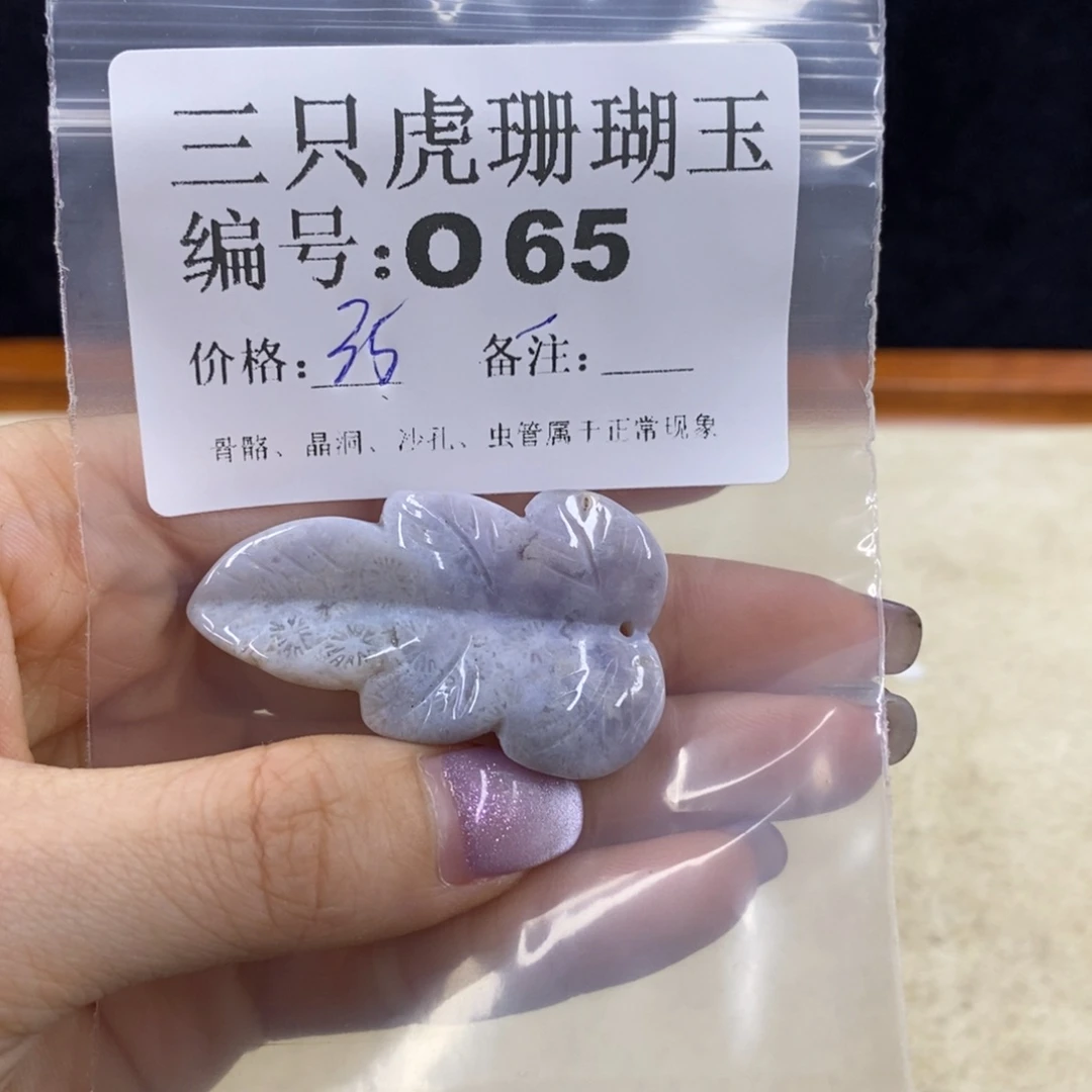 硅化珊瑚（珊瑚玉）未镶嵌1ʚ****ɞ