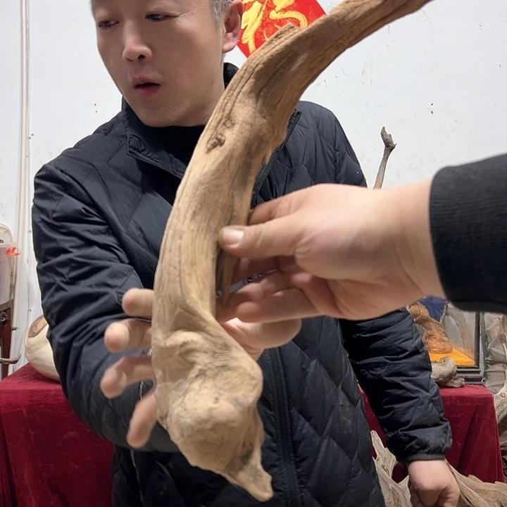 柏木心**阳我们都是好孩子啊哈哈哈