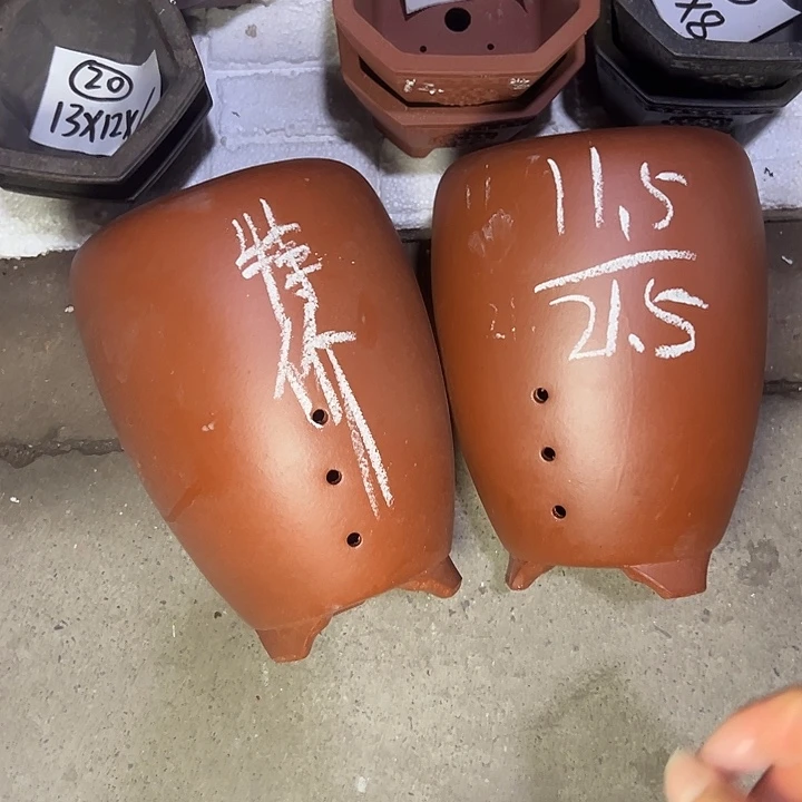 周深周深周深周深周深