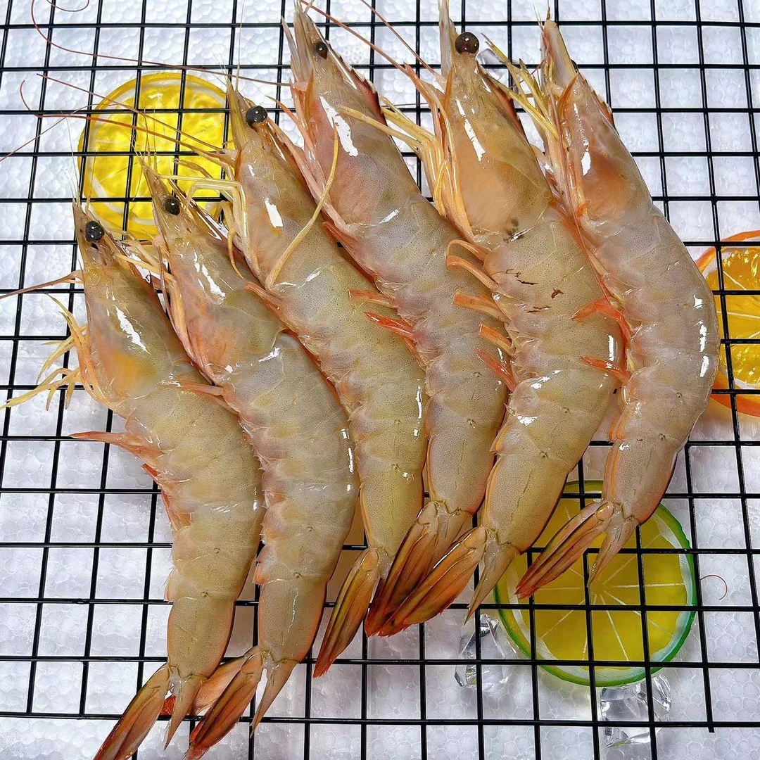 海捕白刺虾 野生明虾 极速锁鲜发货 全国顺丰冷链包邮 16-20条/斤