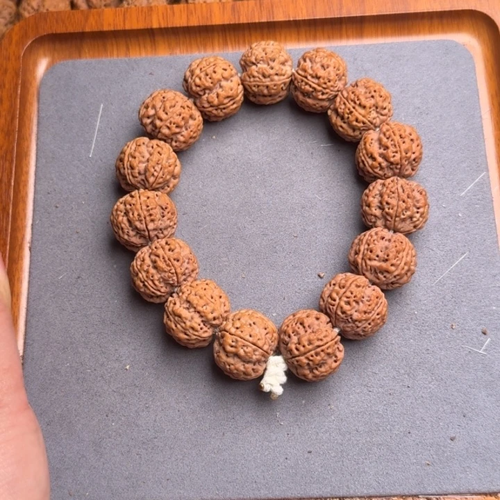 菩提13号尼泊尔大金刚21梅花梁