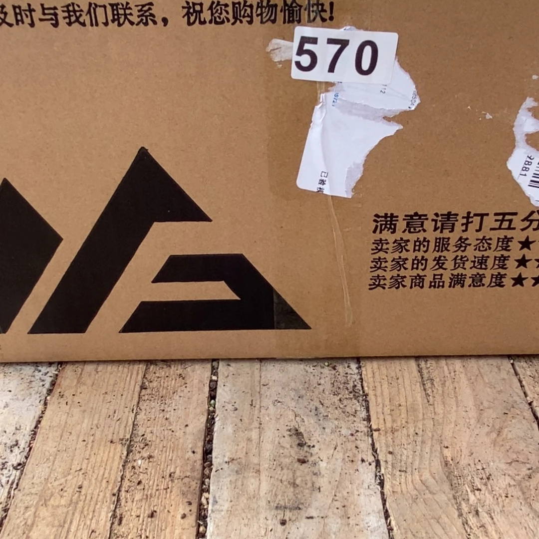 杏**李枝干番杏多肉植物570
