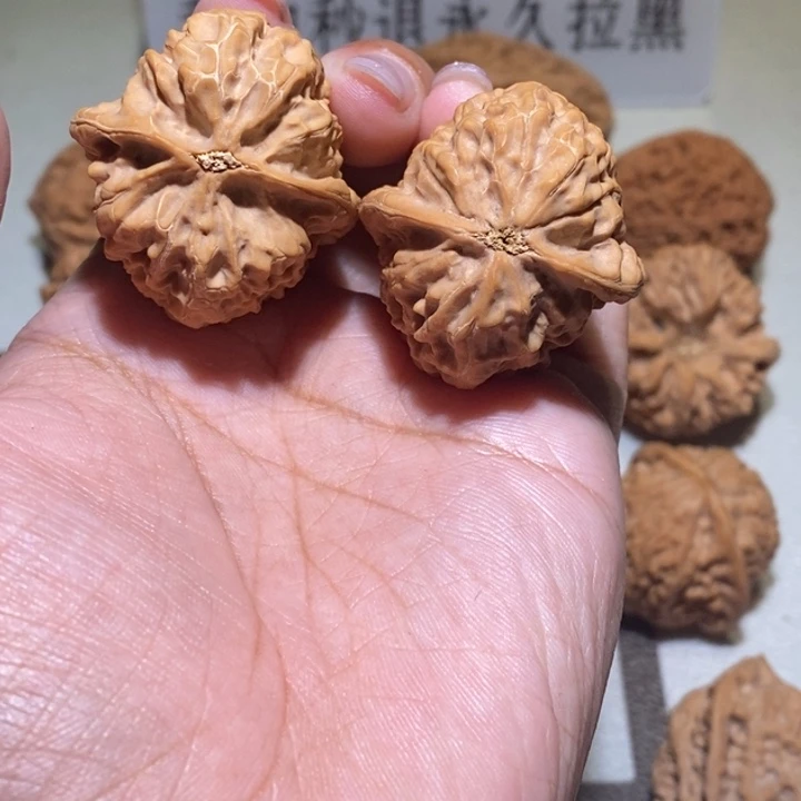 R***h手串/手链核桃沈鸡