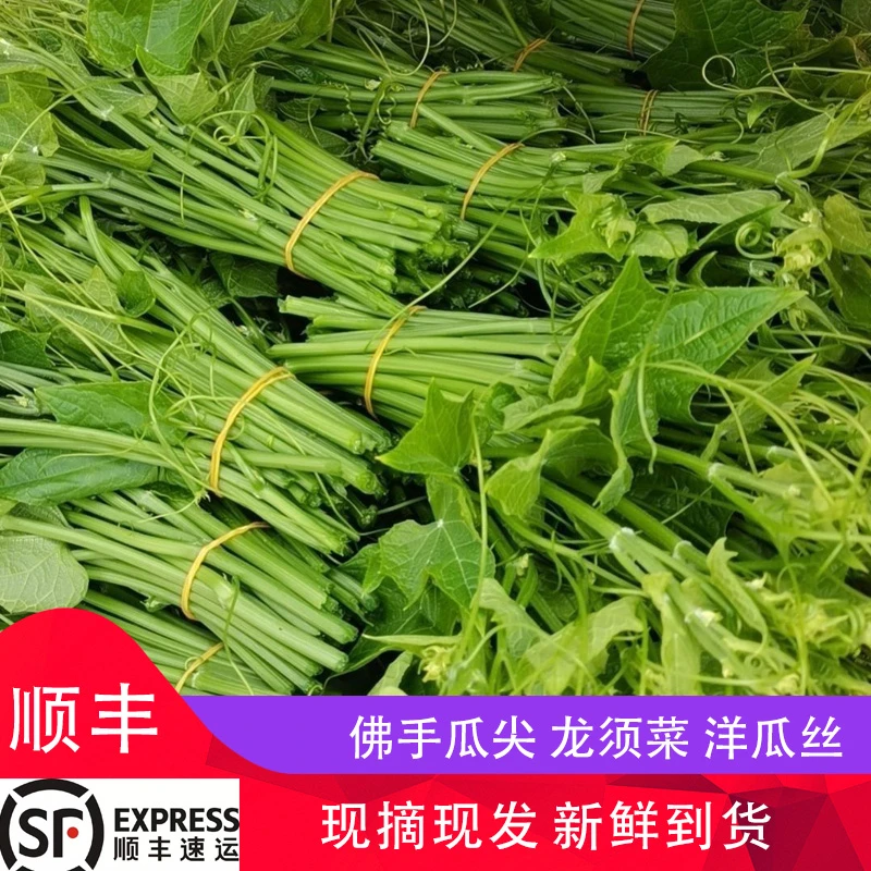 农家蔬菜（京东生鲜转线）佛手瓜尖新鲜龙须菜绿色洋瓜丝现摘现发