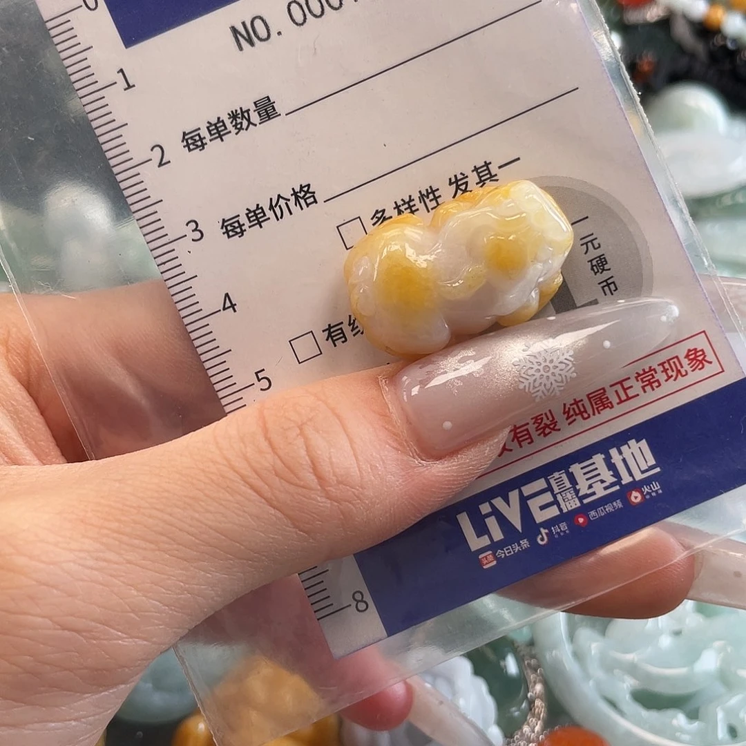 翡翠未镶嵌颈饰hhh