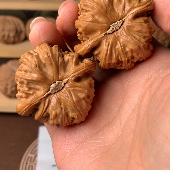 辣***芋大叶紫檀（黑酸枝木类）白狮子1